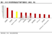 Agnico伊格尔矿业专题研究报告（45页）