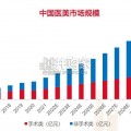 医美行业研究报告（33页）