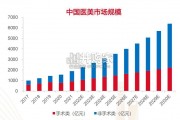 医美行业研究报告（33页）