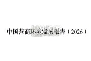 中国营商环境发展报告（49页）