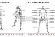 人形机器人行业报告：宇树智远双星闪耀（28页）