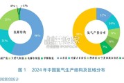 中国氢能发展报告（45页）