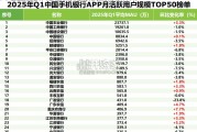2025年Q1中国手机银行APP流量监测报告（13页）