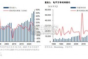 龟申万出海进程的复盘与启示报告（30页）