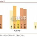 固态电池产业化研究报告（18页）