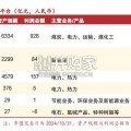 五大电力集团资产梳理之国家能源集团研究报告（21页）