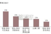 中国篮球俱乐部商业模型解构研究报告（11页）