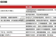 美容护理行业报告：ECM细胞外基质（20页）