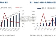 集换式卡牌行业报告：卡游（14页）