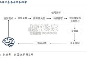 脑机接口技术和应用研究报告（16页）