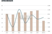 2025年上半年中国高标仓物流市场报告（40页）